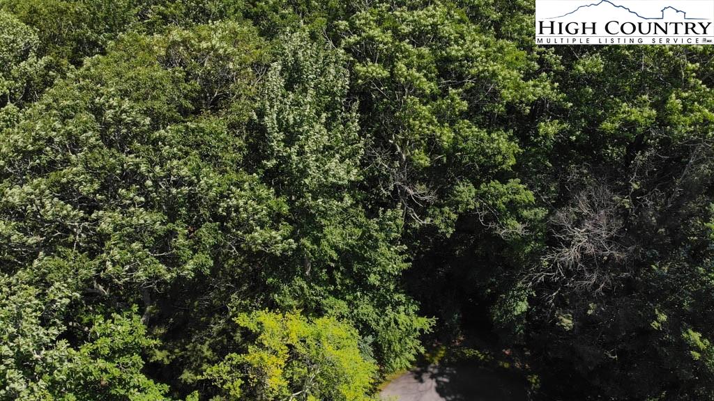 602 Ridge Run Linville, NC 28646 - Photo 5 of 11 a view of a sign of the tree