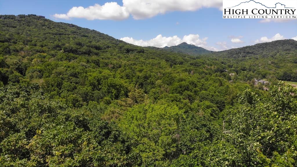 602 Ridge Run Linville, NC 28646 - Photo 6 of 11 a view of a mountain