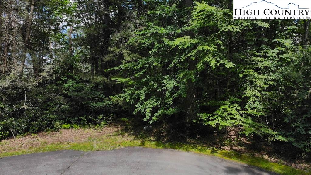 602 Ridge Run Linville, NC 28646 - Photo 7 of 11 a view of outdoor space with garden