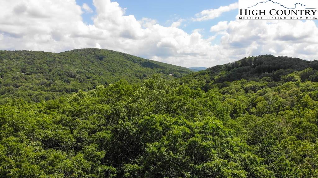 602 Ridge Run Linville, NC 28646 - Photo 8 of 11 a view of a city with lush green forest