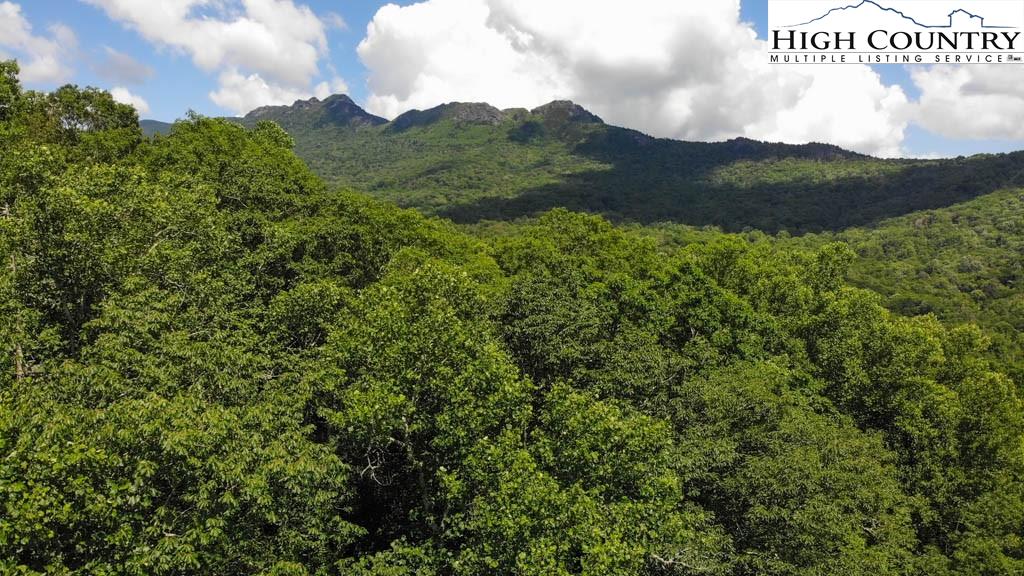 602 Ridge Run Linville, NC 28646 - Photo 9 of 11 a view of a mountain in the distance in a field