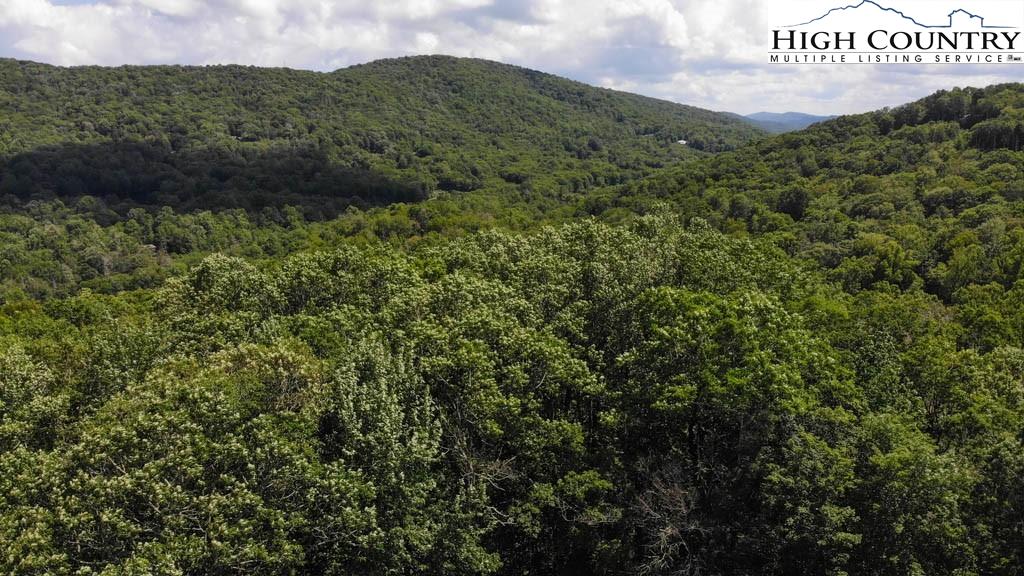 602 Ridge Run Linville, NC 28646 - Photo 10 of 11 a view of a field