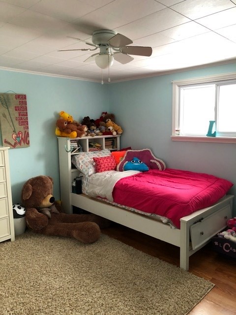 120 South Luce Road Ithaca, MI 48847 - Photo 18 of 33 1869820-17.JPG