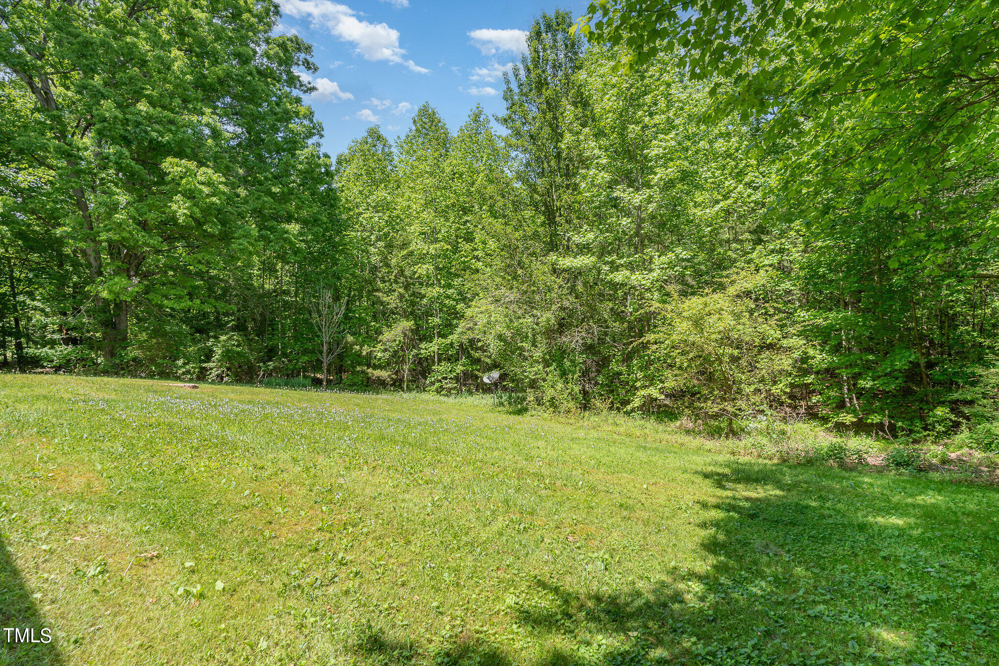 6117 West Lebanon Road Mebane, NC 27302 - Photo 14 of 18 backyard