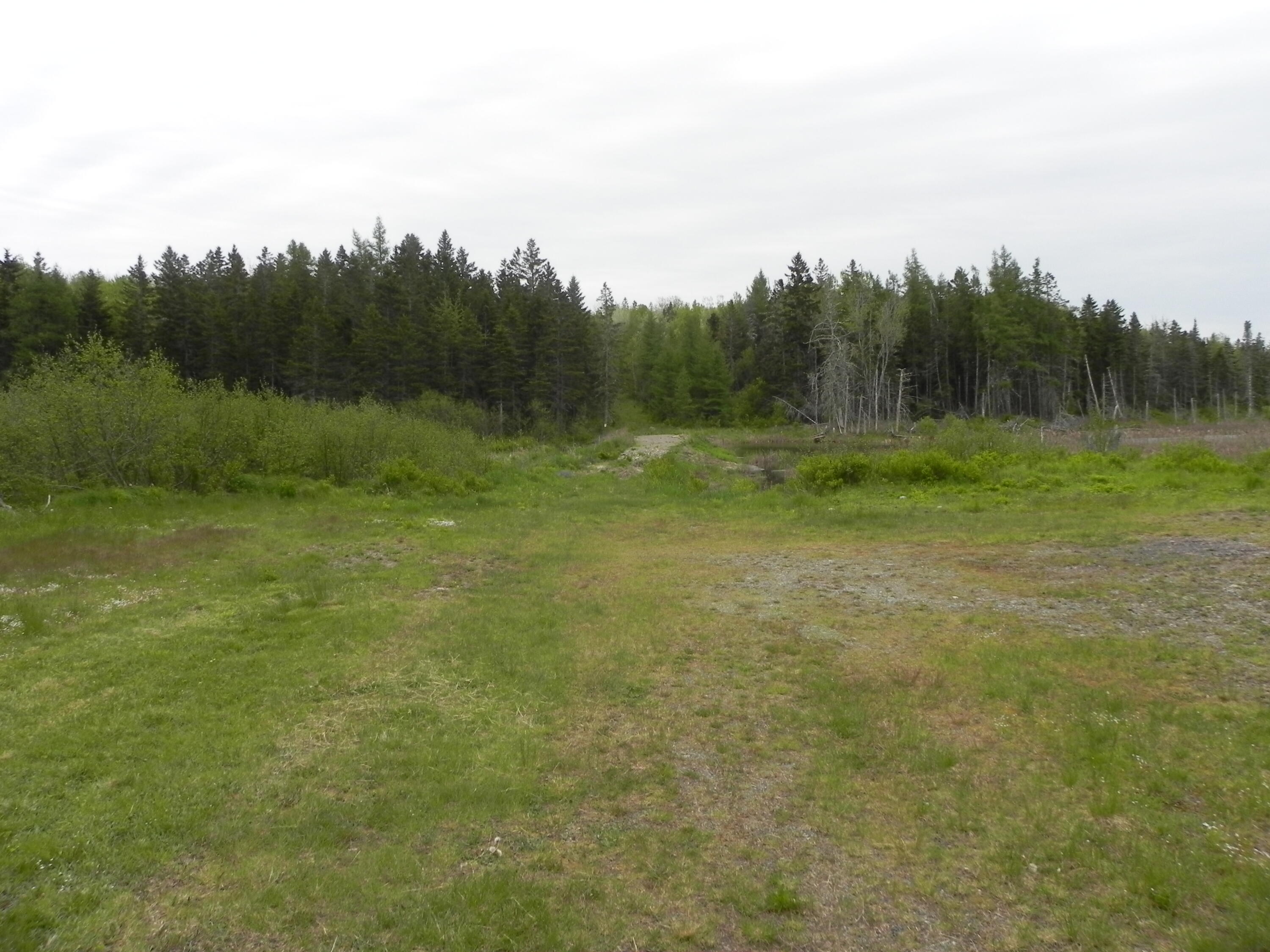 1096 County Road Lubec, ME 04652 - Photo 17 of 39 DSCN9711