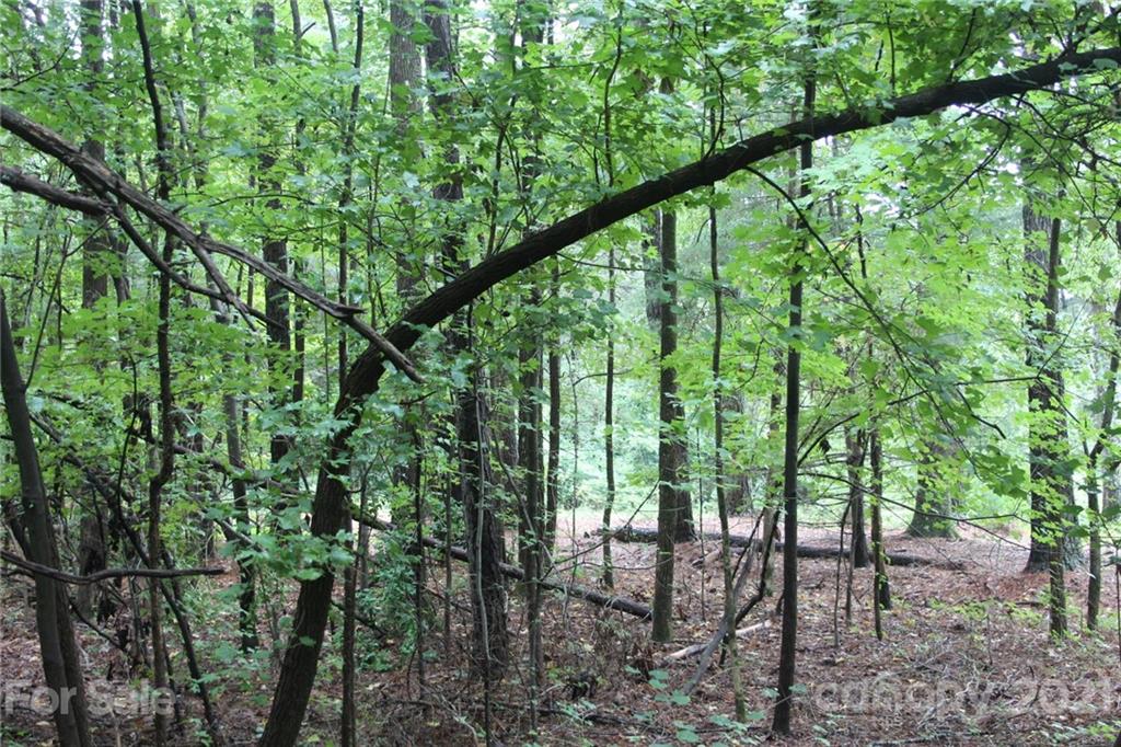 0 Shearers Road Mooresville, NC 28115 - Photo 8 of 10 Gallery Image 8