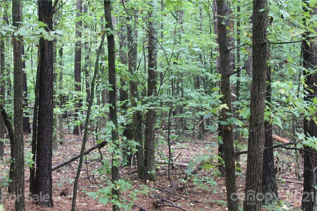 0 Shearers Road Mooresville, NC 28115 - Photo 9 of 10 Gallery Image 9