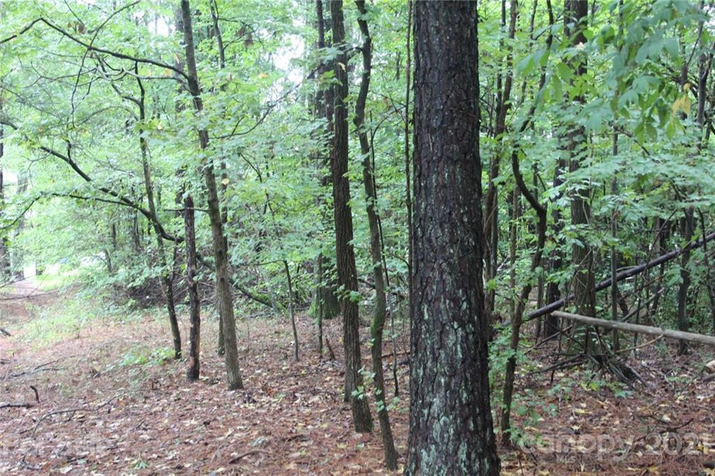 0 Shearers Road Mooresville, NC 28115 - Photo 10 of 10 Gallery Image 10