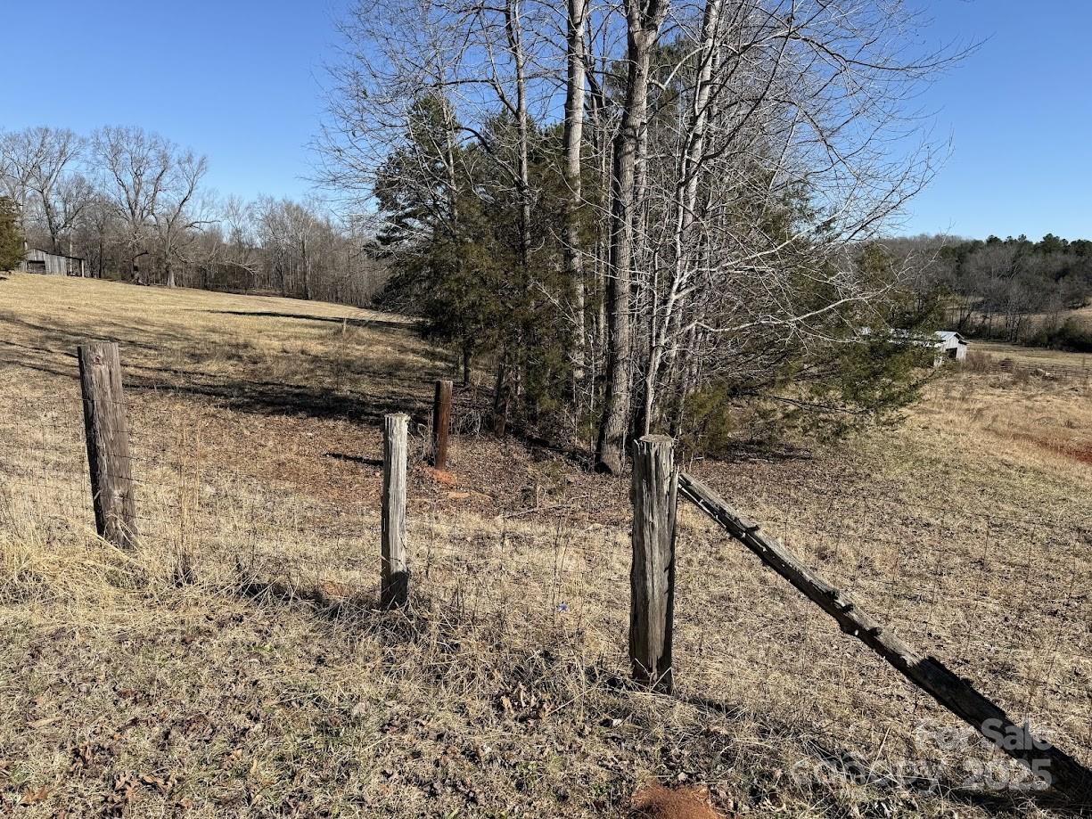 a view of a yard with plants and trees