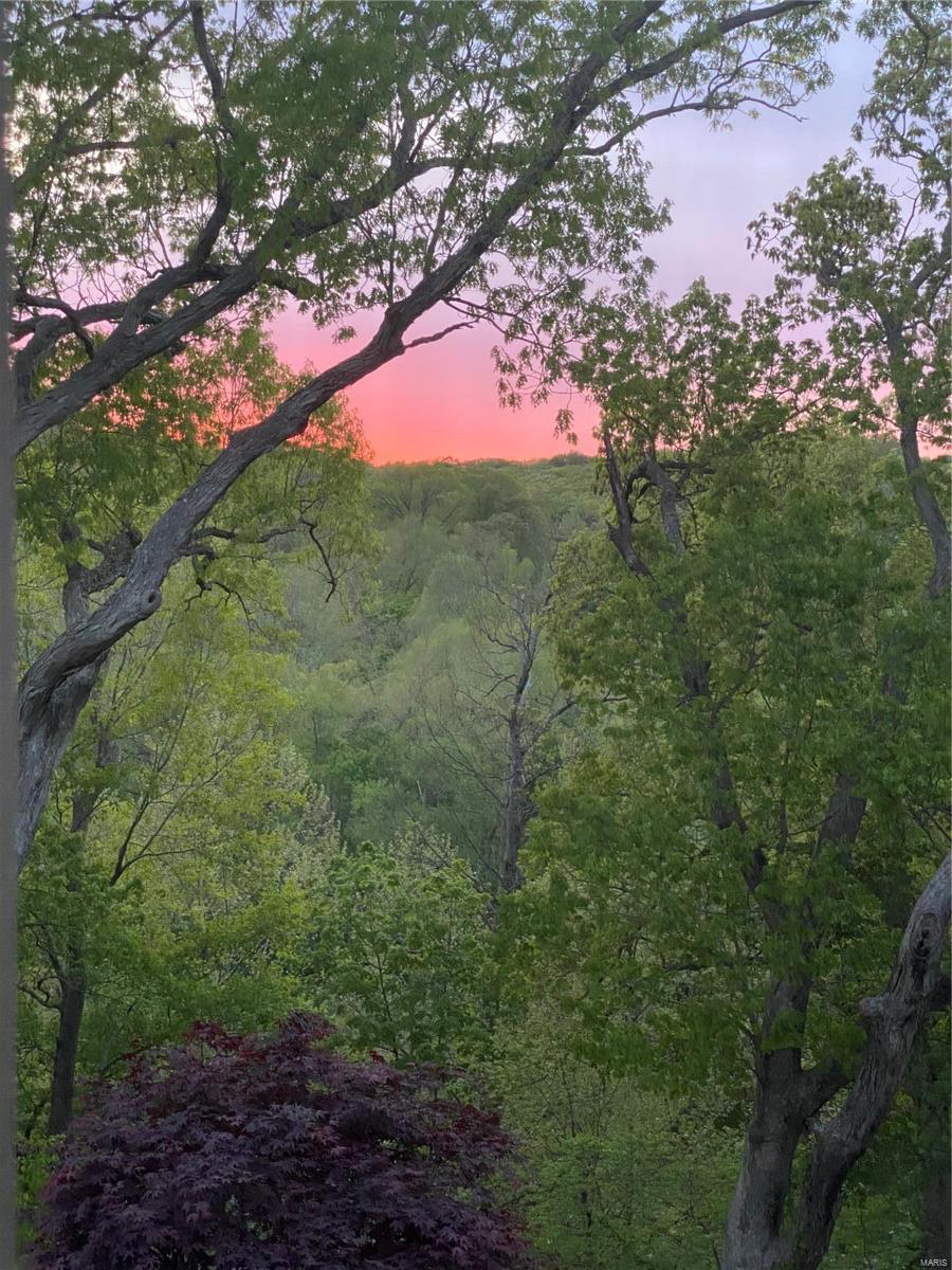 16751 Eagle Bluff Court Chesterfield, MO 63005 - Photo 23 of 76