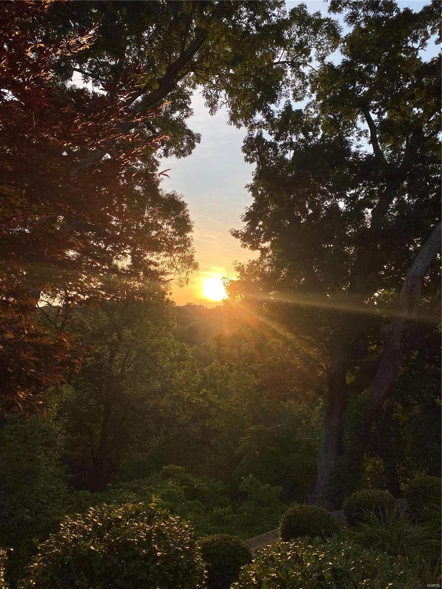 16751 Eagle Bluff Court Chesterfield, MO 63005 - Photo 24 of 76