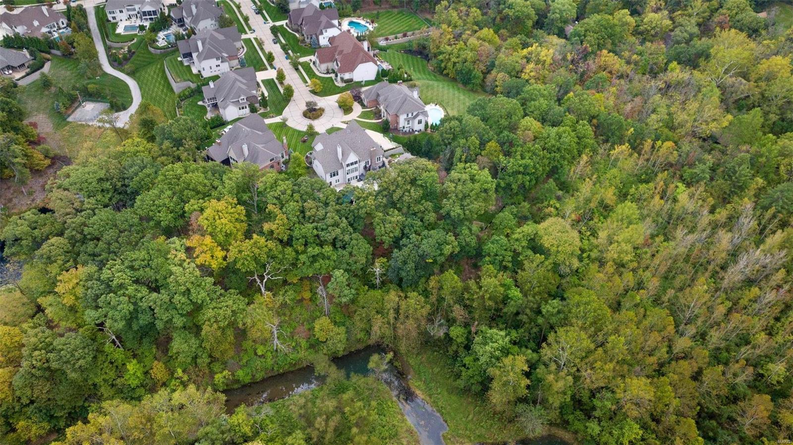 16751 Eagle Bluff Court Chesterfield, MO 63005 - Photo 6 of 76