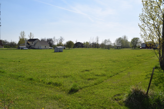 2808 2559th Road Marseilles, IL 61341 - Photo 5 of 5 a view of a field with an trees