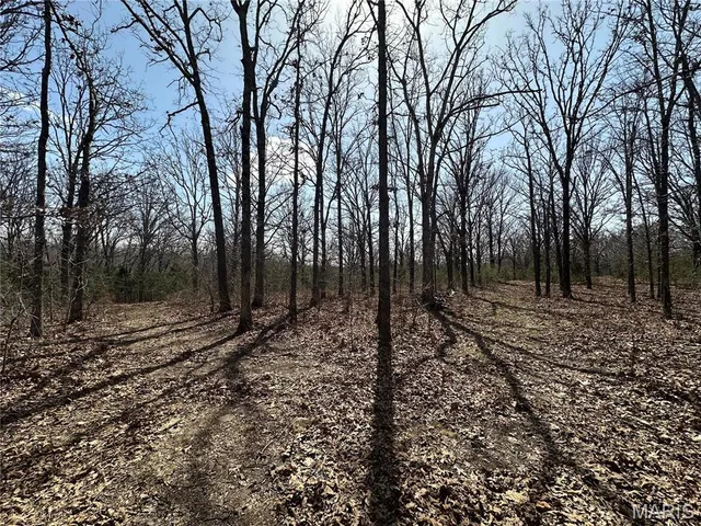 $439,000 | 2441 North Highway 19, Salem, MO 65560