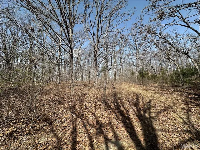 $439,000 | 2441 North Highway 19, Salem, MO 65560