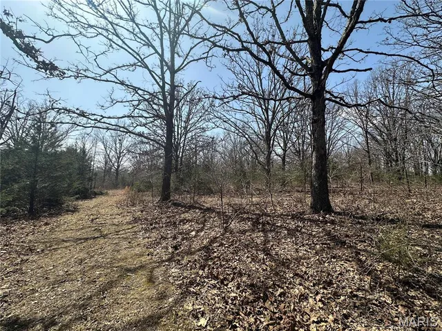 $439,000 | 2441 North Highway 19, Salem, MO 65560