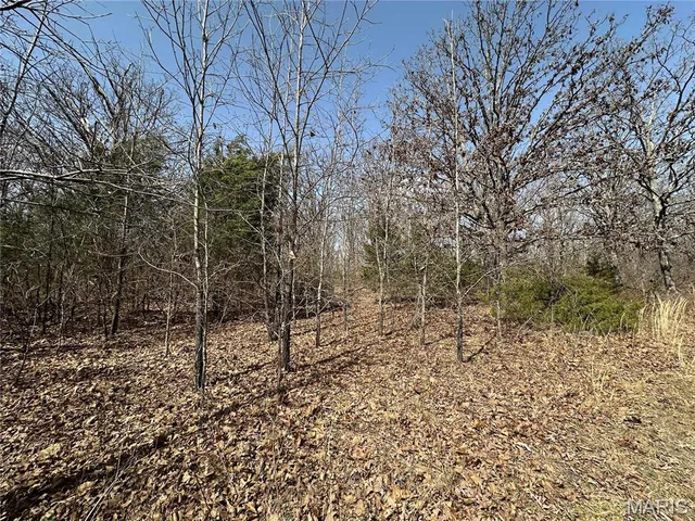 $439,000 | 2441 North Highway 19, Salem, MO 65560