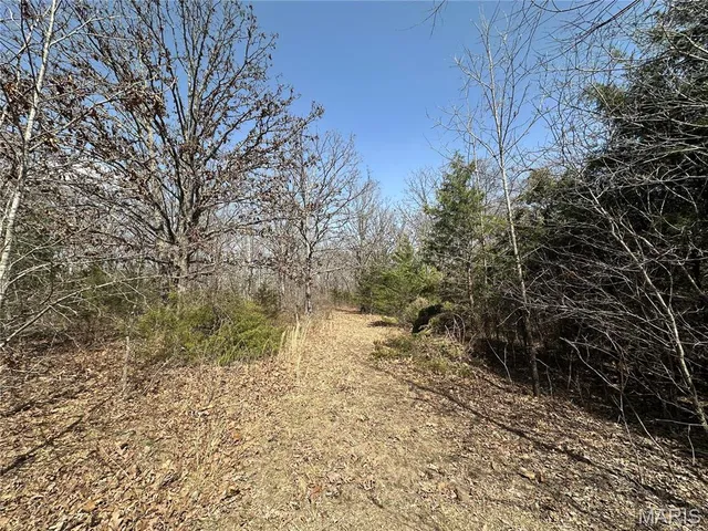 $439,000 | 2441 North Highway 19, Salem, MO 65560