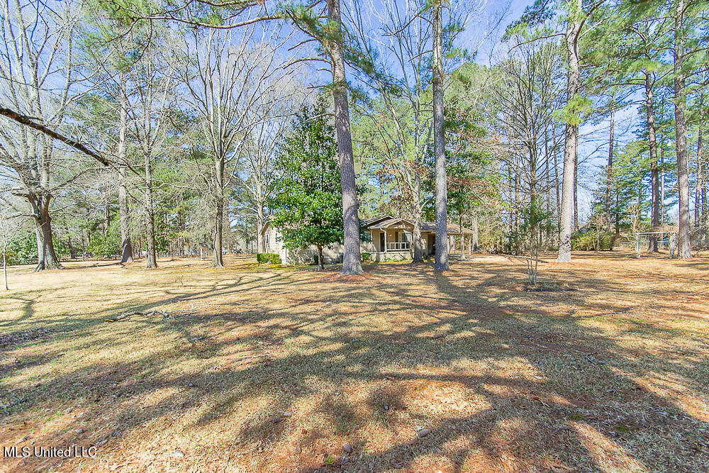 1312 Shell Oil Road Brandon, MS 39042 - Photo 6 of 28 1.62 Acres