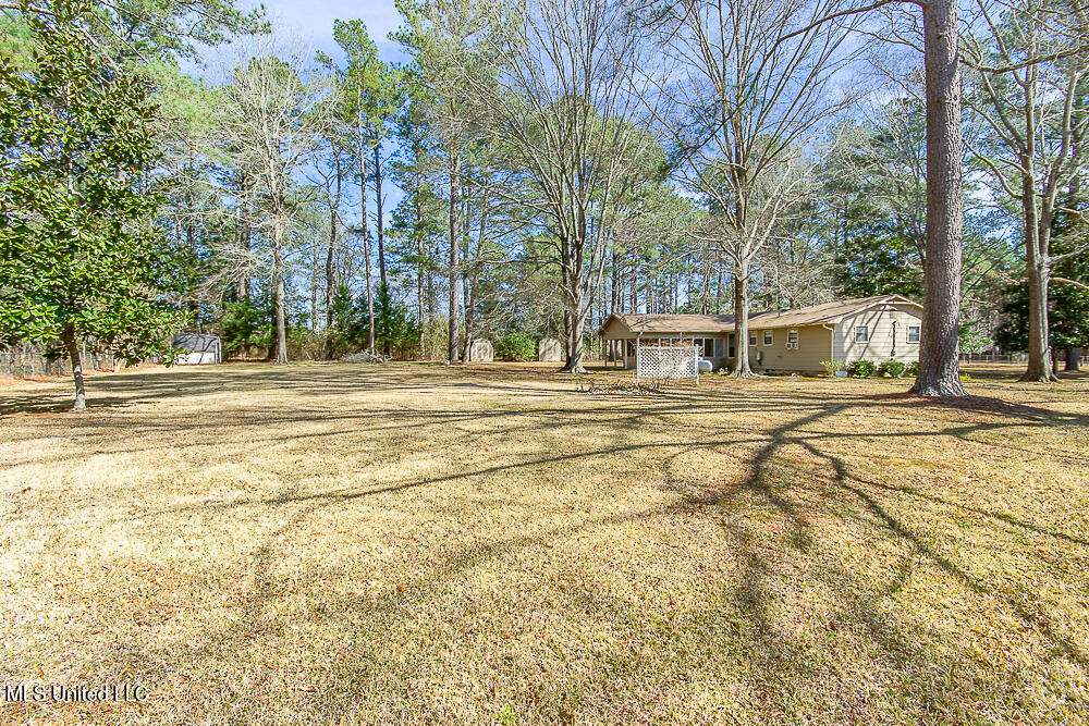 1312 Shell Oil Road Brandon, MS 39042 - Photo 7 of 28 Large Level Backyard