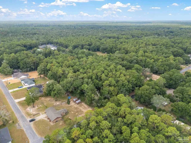 a view of a lush green forest