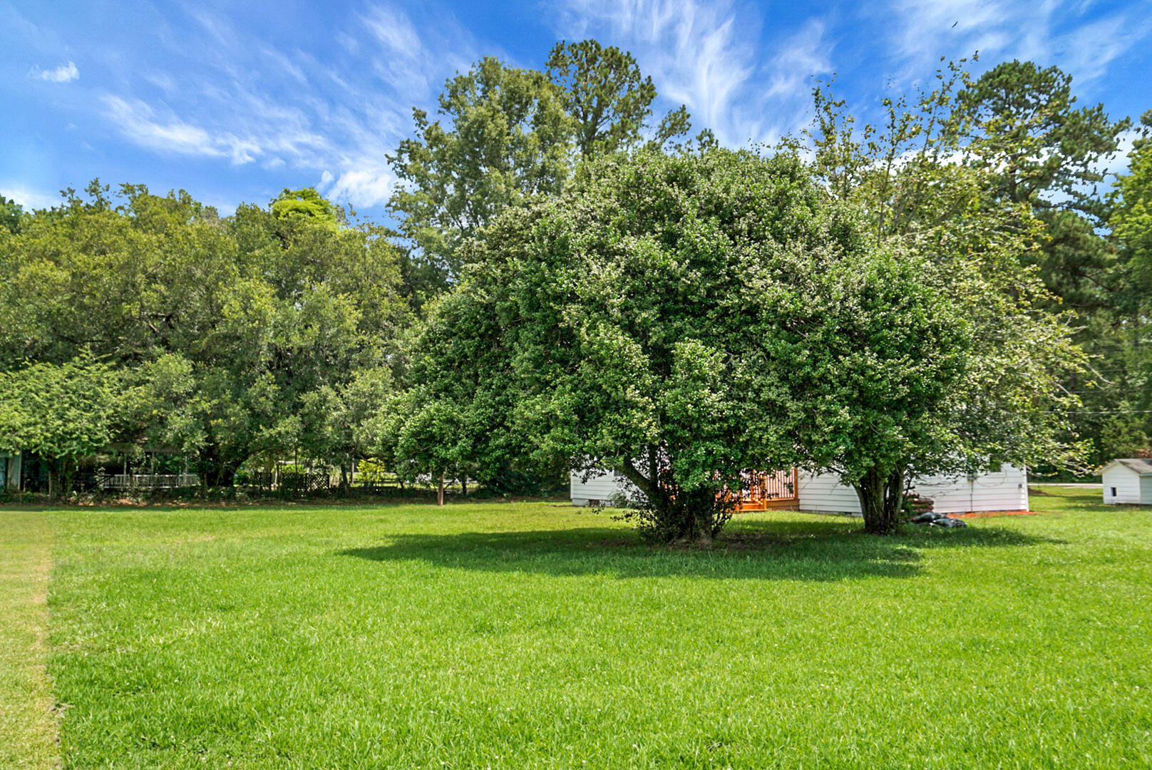 1393 Harristown Road Bonneau, SC 29431 - Photo 54 of 57 DSC06471