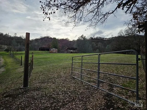 a view of a green filed