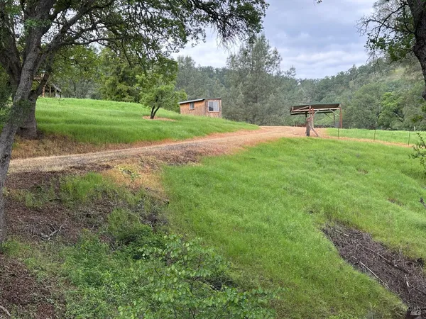 a view of a park with large trees