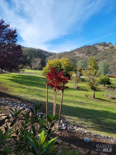 2002 Ogulin Canyon Road Clearlake, CA 95422 - Photo 8 of 28