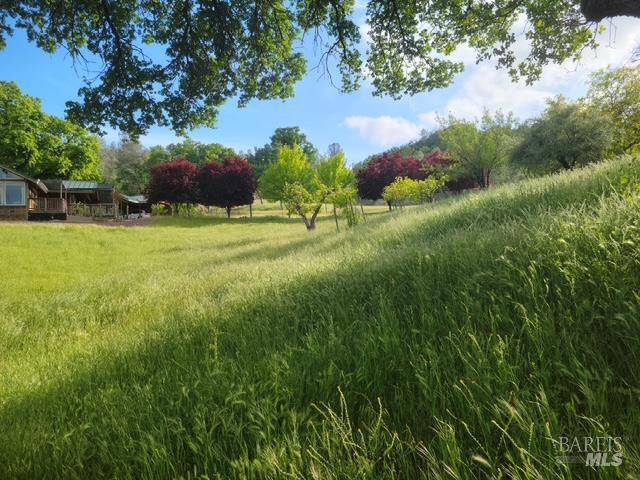 2002 Ogulin Canyon Road Clearlake, CA 95422 - Photo 9 of 28