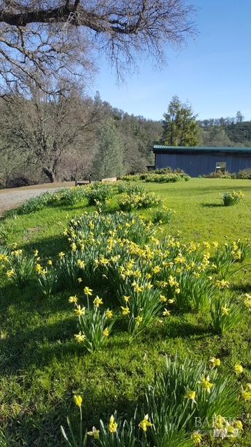 2002 Ogulin Canyon Road Clearlake, CA 95422 - Photo 10 of 28