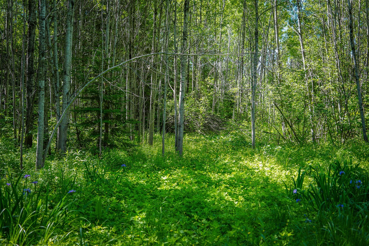 South North Hulbert Road Eckerman, MI 49728 - Photo 25 of 29