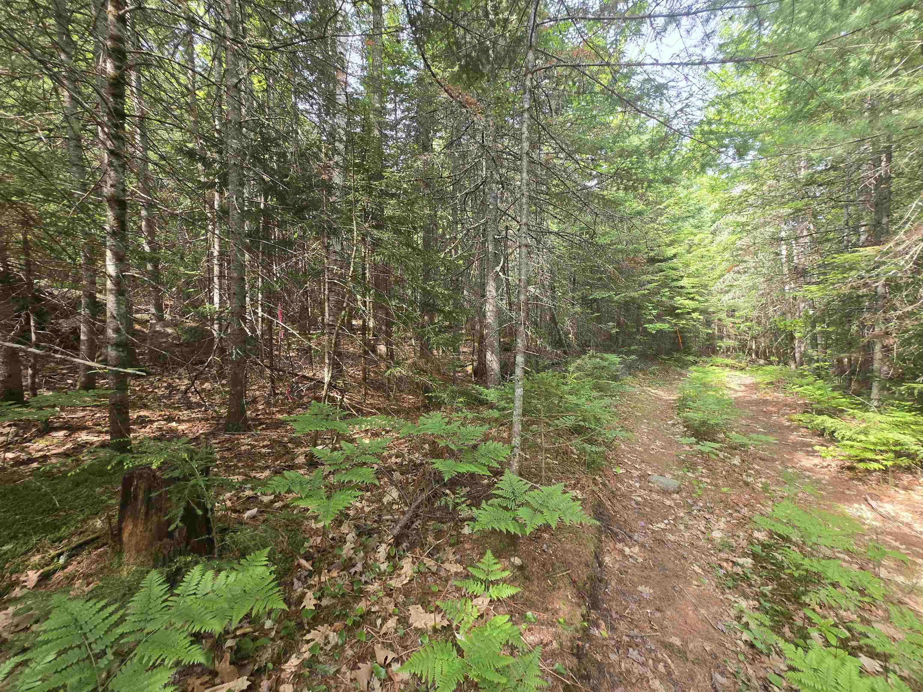 0 Thorn Hill Road, Unit R148B Jackson, NH 03846 - Photo 8 of 21