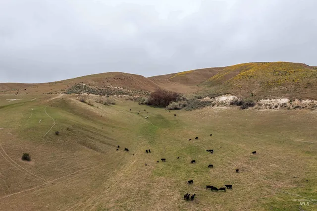 $2,700,000 | 1836 Cemetery Road, Weiser, ID 83672