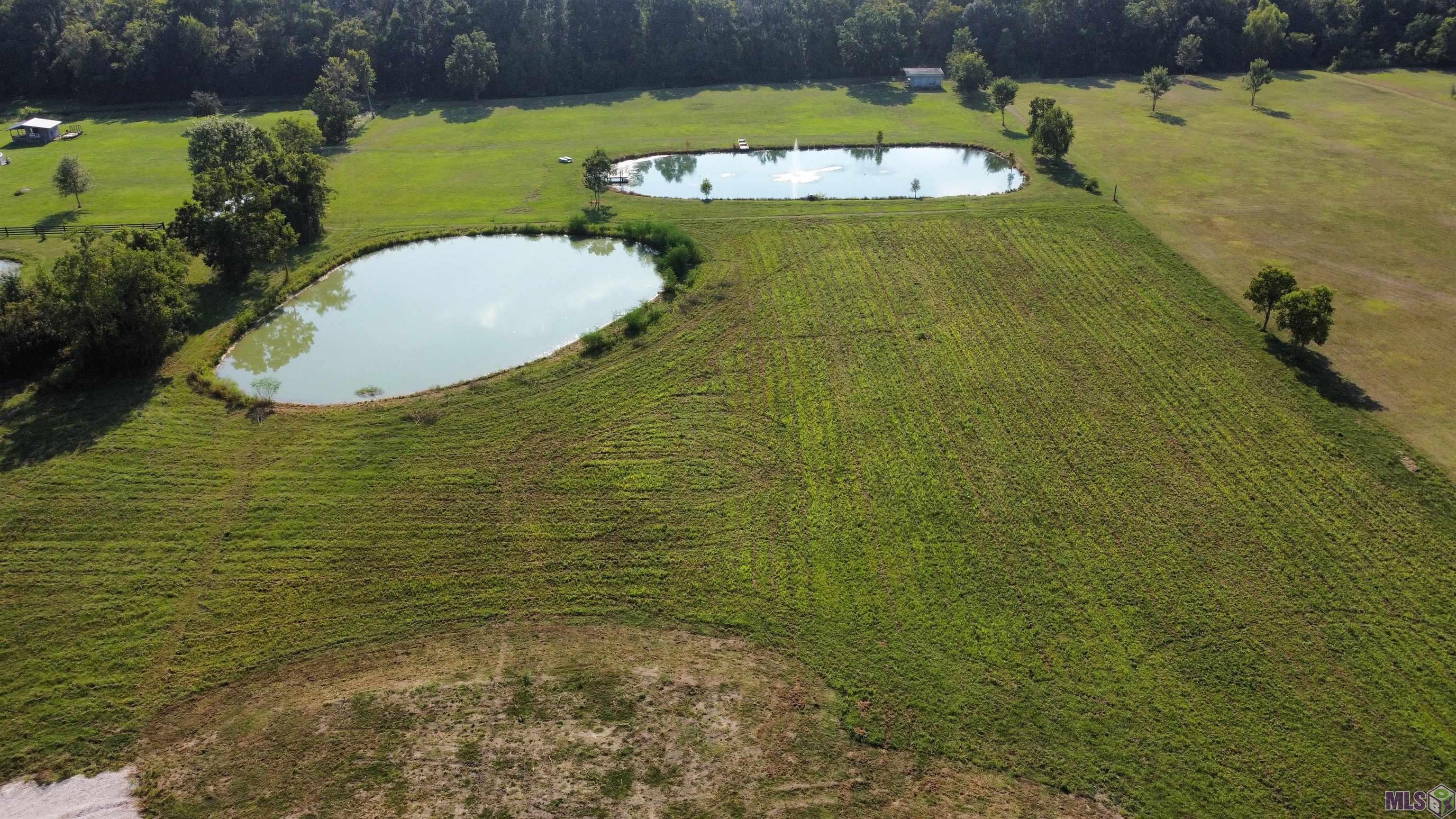 45510 Melancon Road St. Amant, LA 70774 - Photo 5 of 7 Gallery Image 5