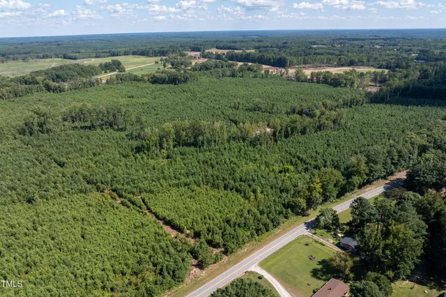 a view of a lush green forest with lots of trees