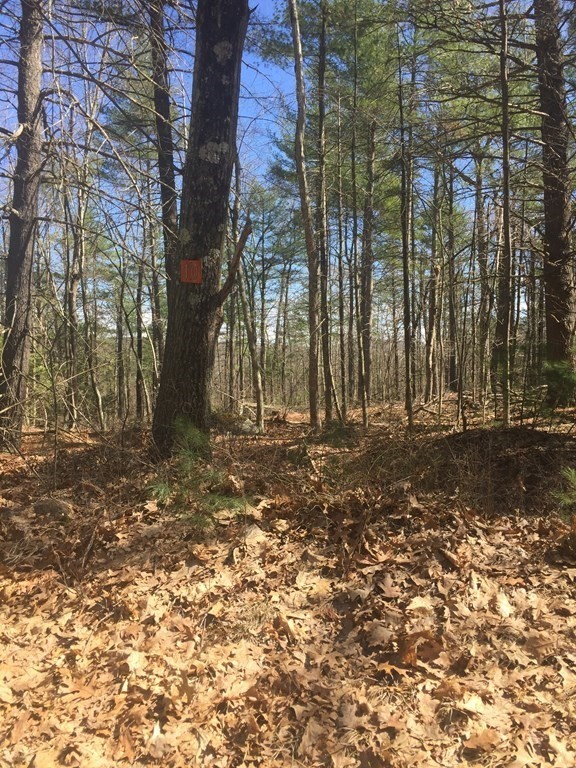 Lot 10 Town Farm Road Monson, MA 01057 - Photo 1 of 5 a backyard of a house with lots of green space