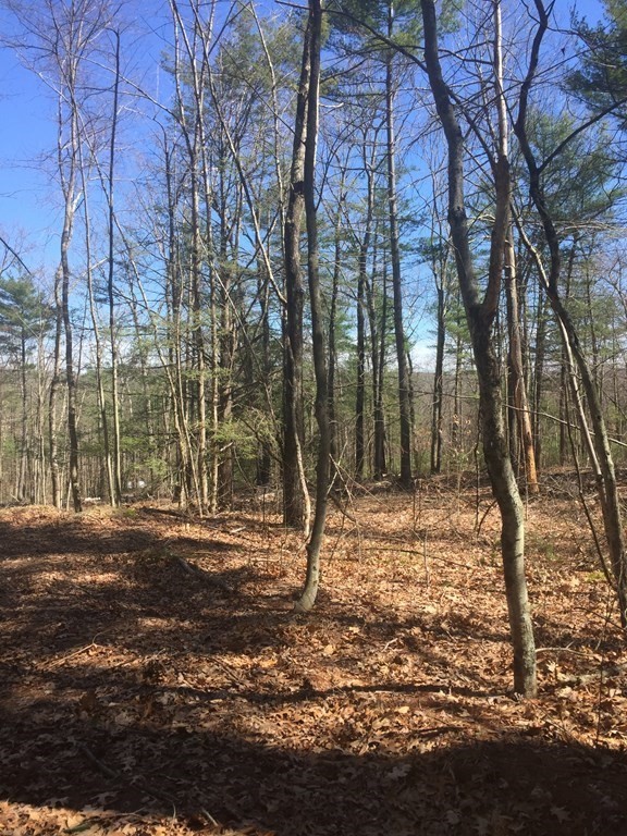 Lot 10 Town Farm Road Monson, MA 01057 - Photo 2 of 5 a backyard of a house with lots of green space