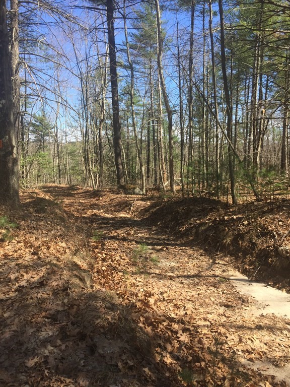 Lot 10 Town Farm Road Monson, MA 01057 - Photo 4 of 5 a view of road with large trees