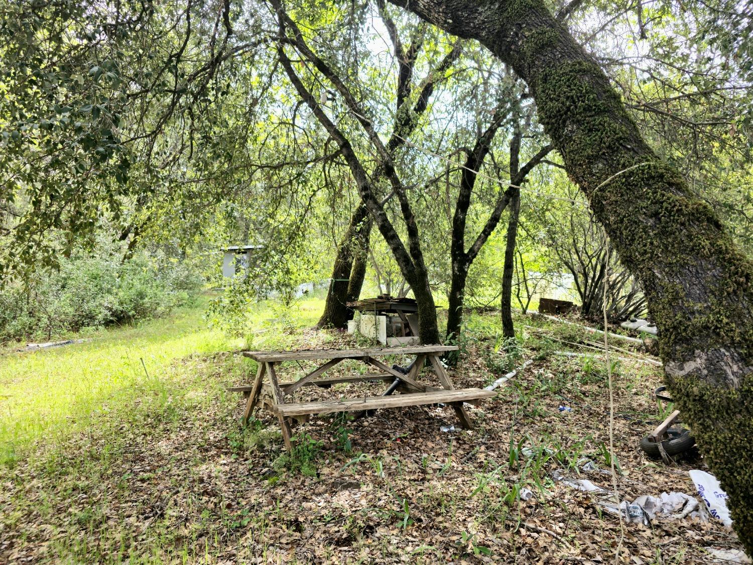 0 Elams Ranch Road Oroville, CA 95966 - Photo 16 of 24 a backyard of a house with table and chairs