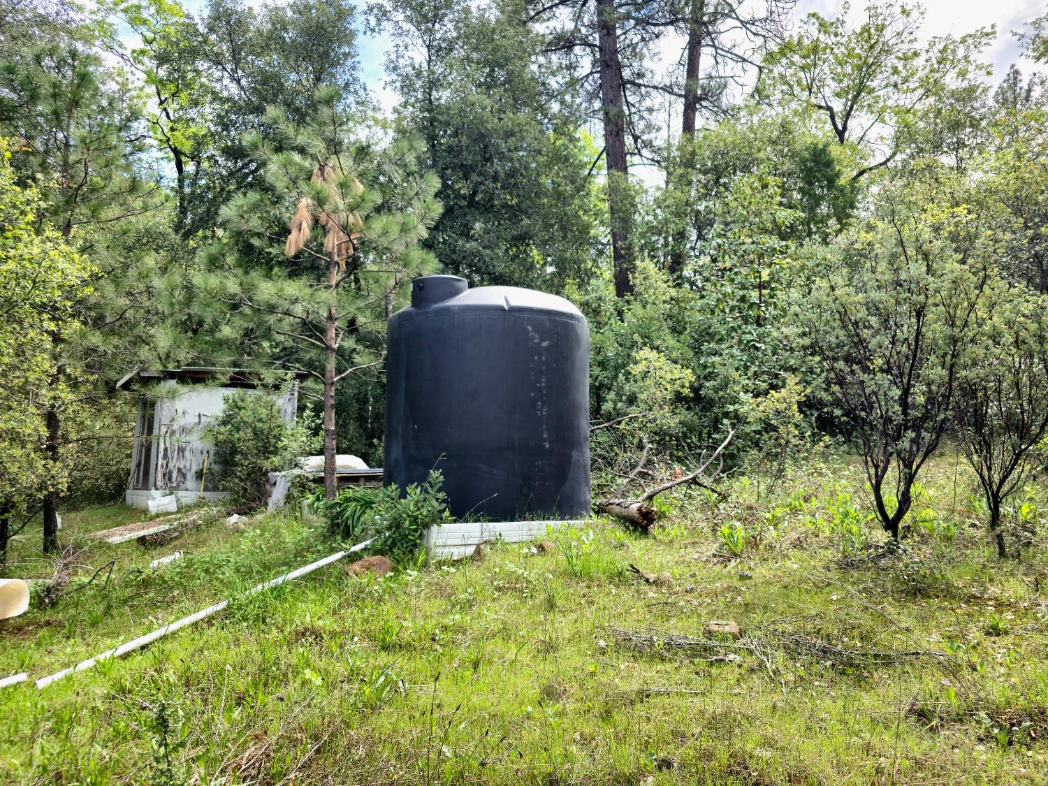 0 Elams Ranch Road Oroville, CA 95966 - Photo 18 of 24 a view of a garden with large trees