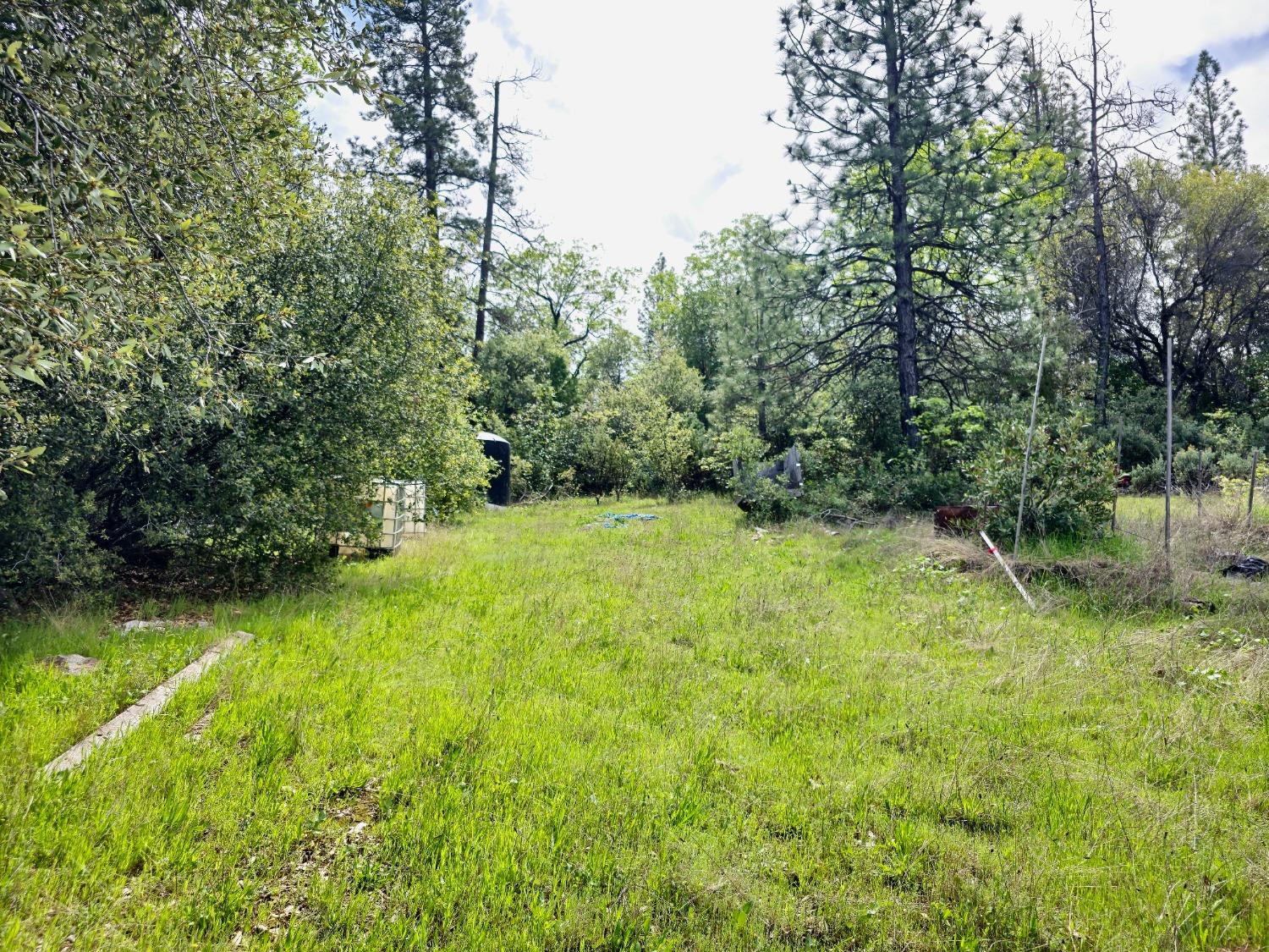 0 Elams Ranch Road Oroville, CA 95966 - Photo 19 of 24 a view of outdoor space and yard