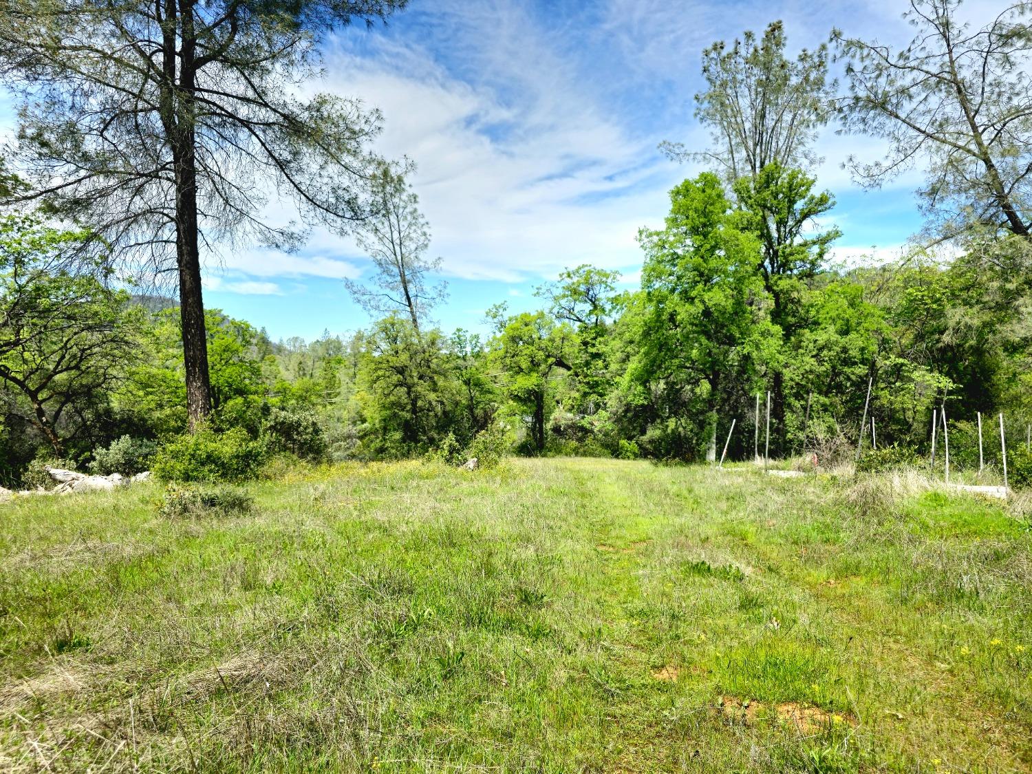 0 Elams Ranch Road Oroville, CA 95966 - Photo 21 of 24 a view of outdoor space and yard