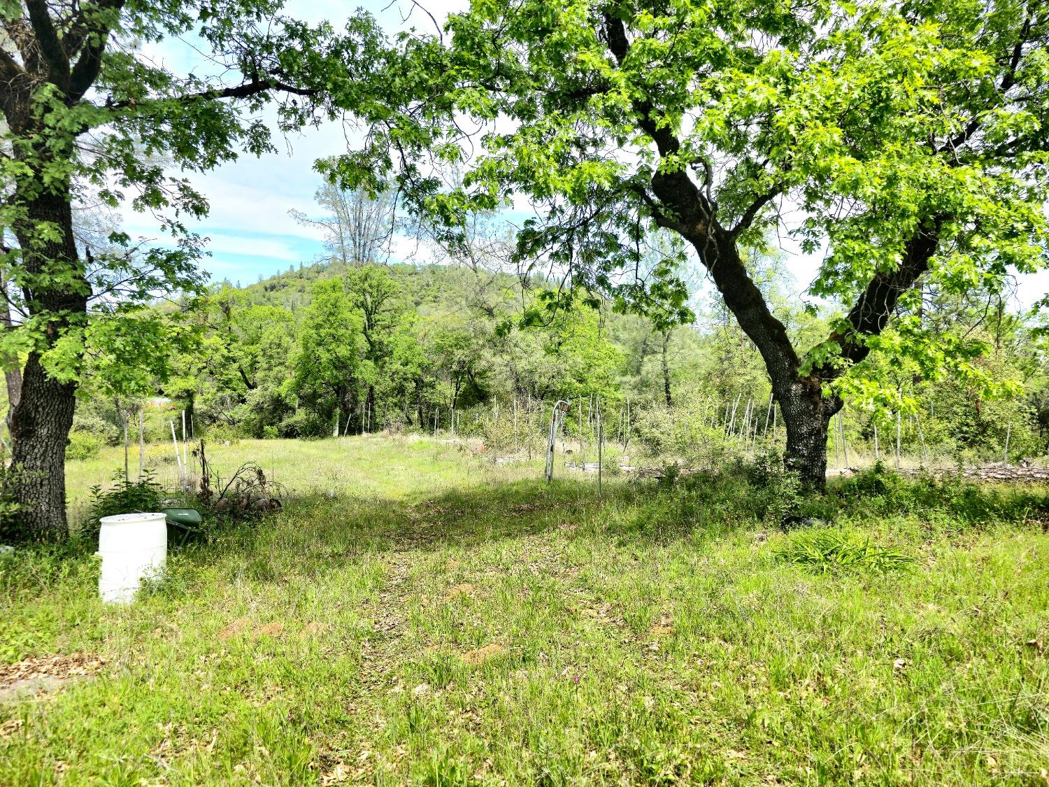 0 Elams Ranch Road Oroville, CA 95966 - Photo 23 of 24 a view of a garden with trees
