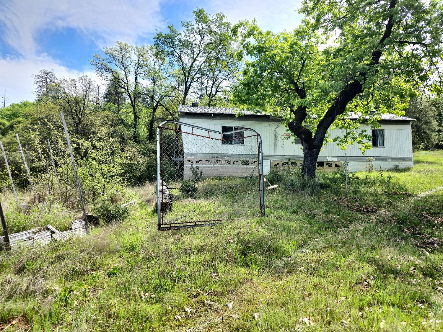 0 Elams Ranch Road Oroville, CA 95966 - Photo 3 of 24