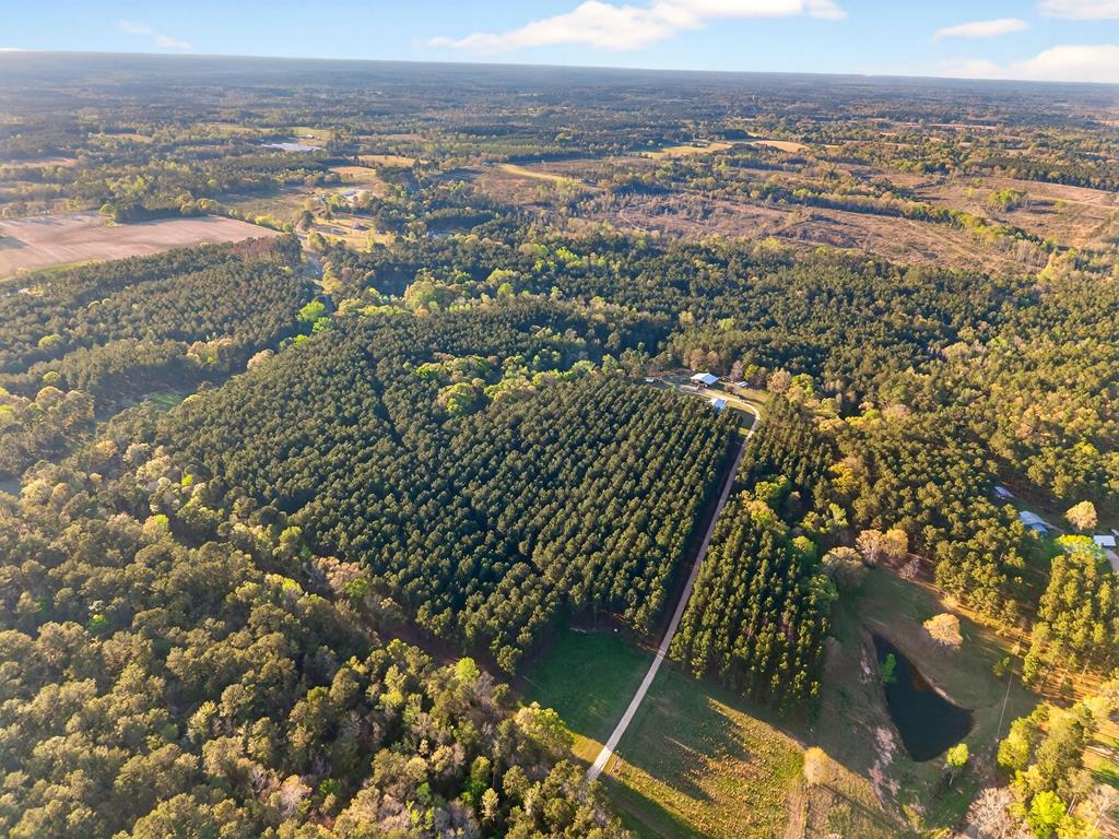 0 Gravel Pit Road Sandy Hook, MS 39478 - Photo 1 of 3 Main View