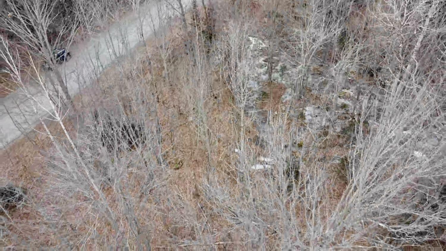 M7-l28 Lapoint Road Stetson, ME 04488 - Photo 6 of 22 4 Aerial