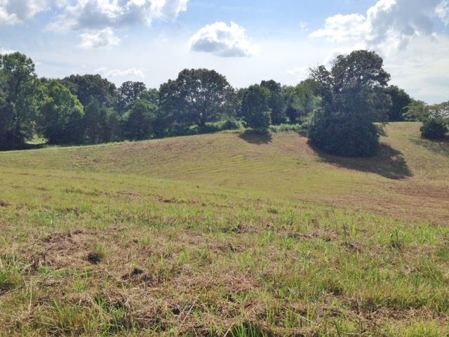850 Pine Thickett Road Sparta, TN 38583 - Photo 6 of 7 a view of lake view and mountain view