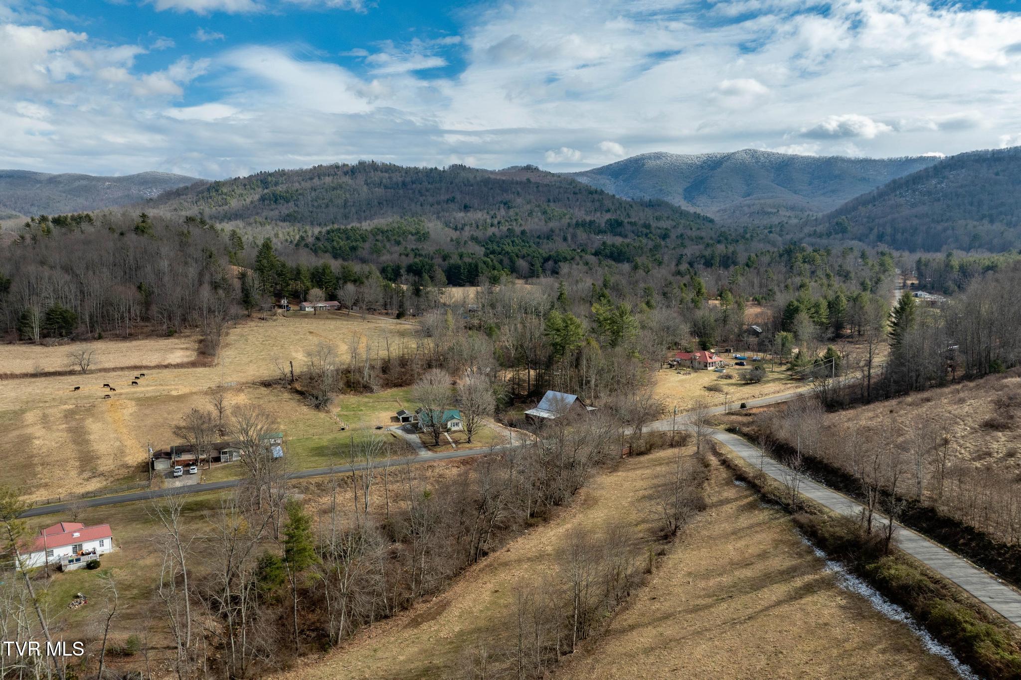 Tbd Stout Branch Road Mountain City, TN 37683 - Photo 14 of 37 TBD Stout Branch Road (29 of 42)