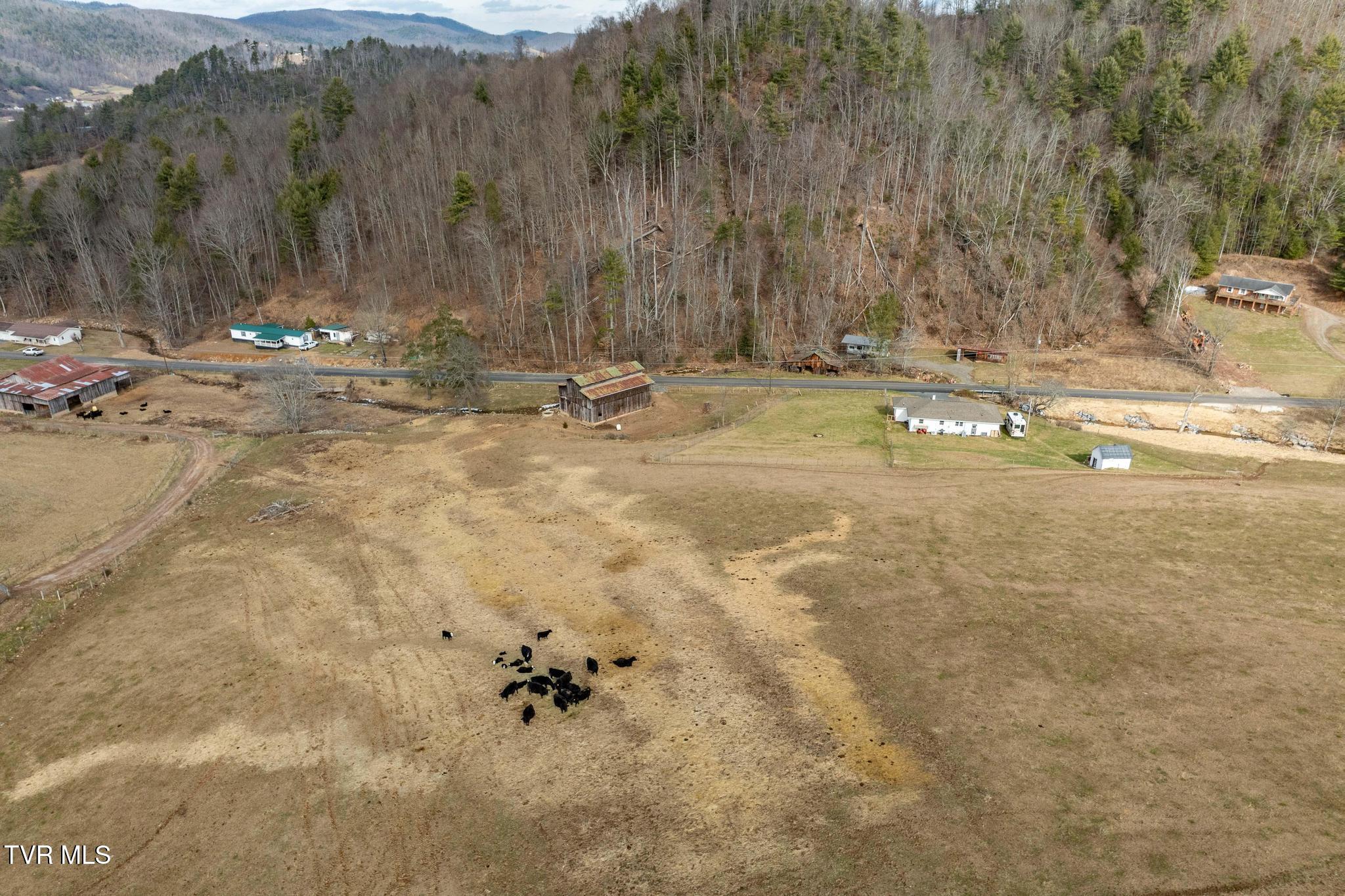 Tbd Stout Branch Road Mountain City, TN 37683 - Photo 23 of 37 TBD Stout Branch Road (20 of 42)